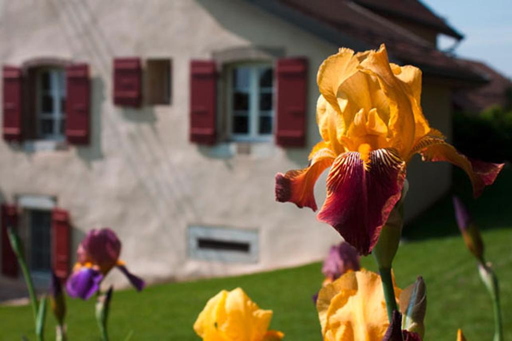 Bed and Breakfast La Belle Saison Mollens  Exterior foto